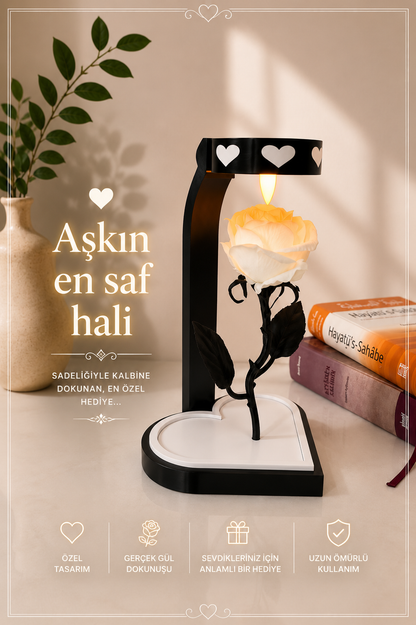 Kalpli Tasarım Solmayan Gül AMORGİFT