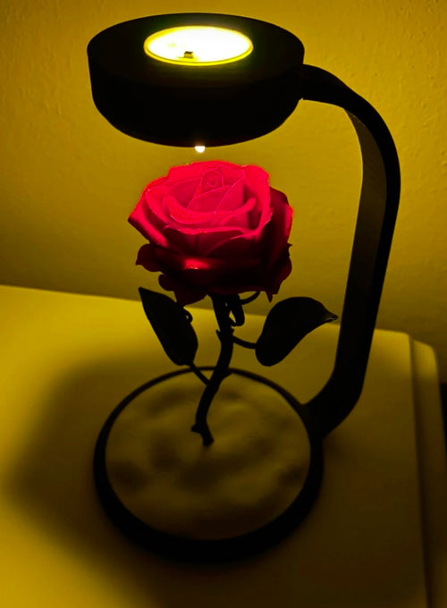 AMORGİFT Led Işıklı Solmayan Lamba