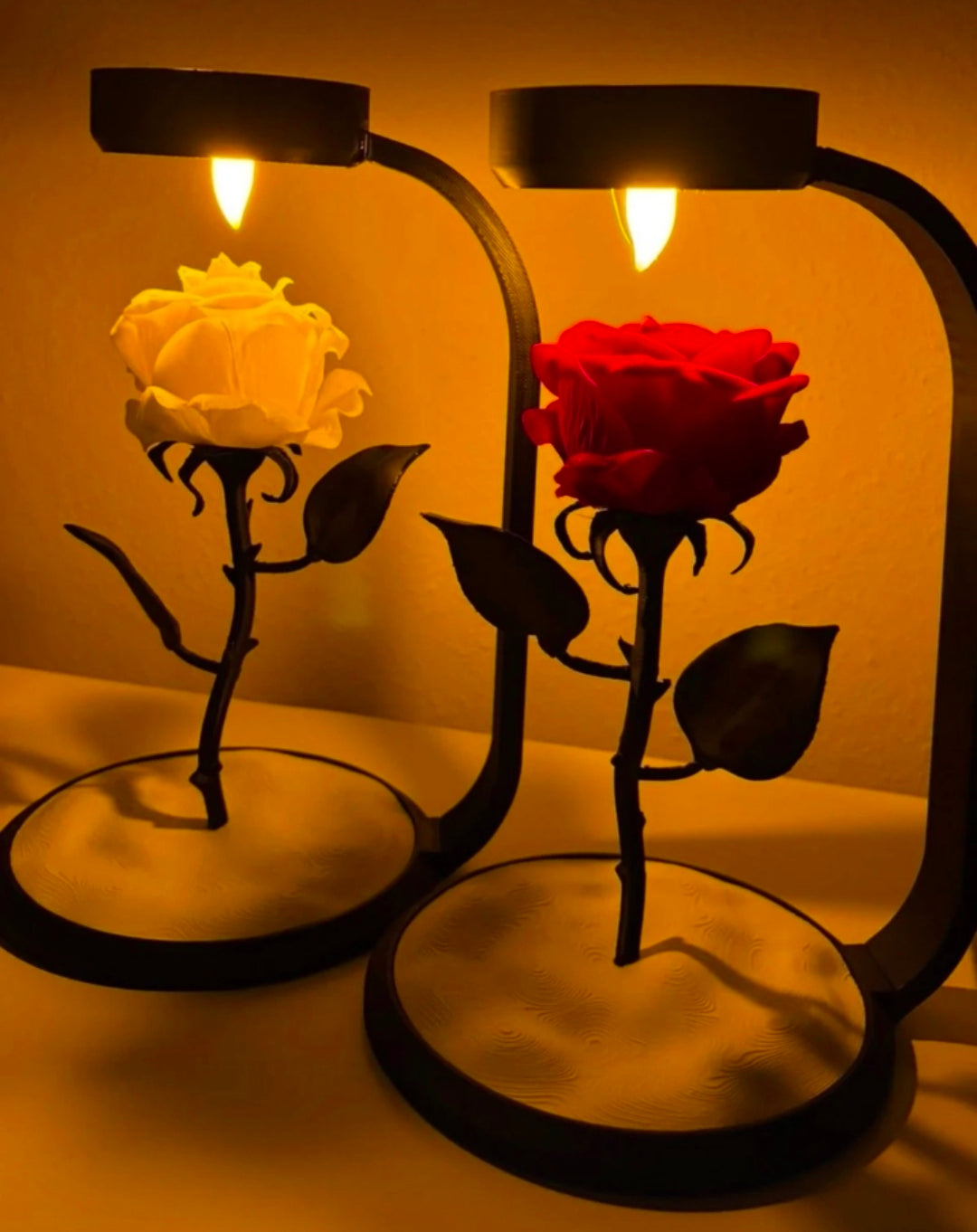 AMORGİFT Led Işıklı Solmayan Lamba